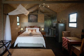 Sleep Whiskers away from the Lions and FEEL them ROAR Cabin 1
